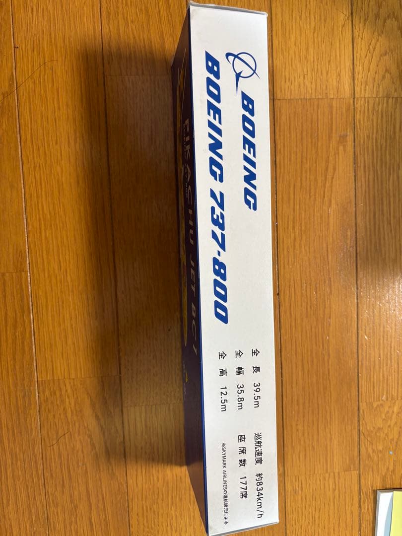 ピカチュウジェット BC1 ボーイング737-800