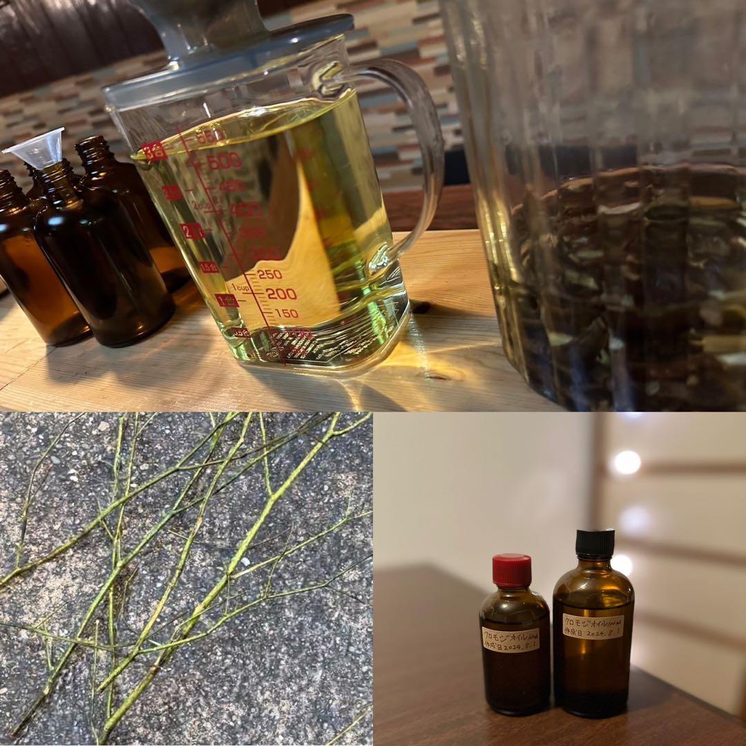 クロモジオイル 100ml 作成日2026.3