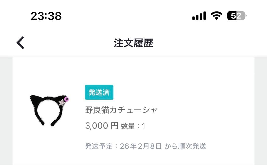 エルテレサ　ワンマン　グッズ 【バラ売り〇】