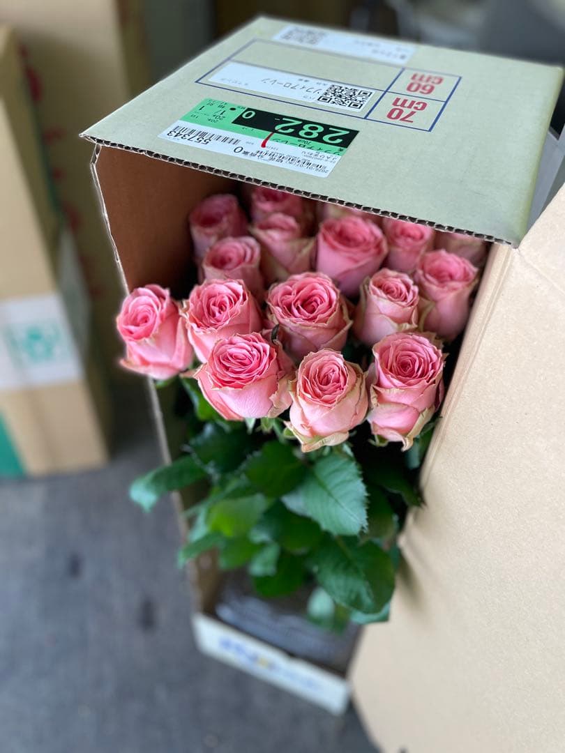 バラ・スプレーバラ　お任せ　20本 切花