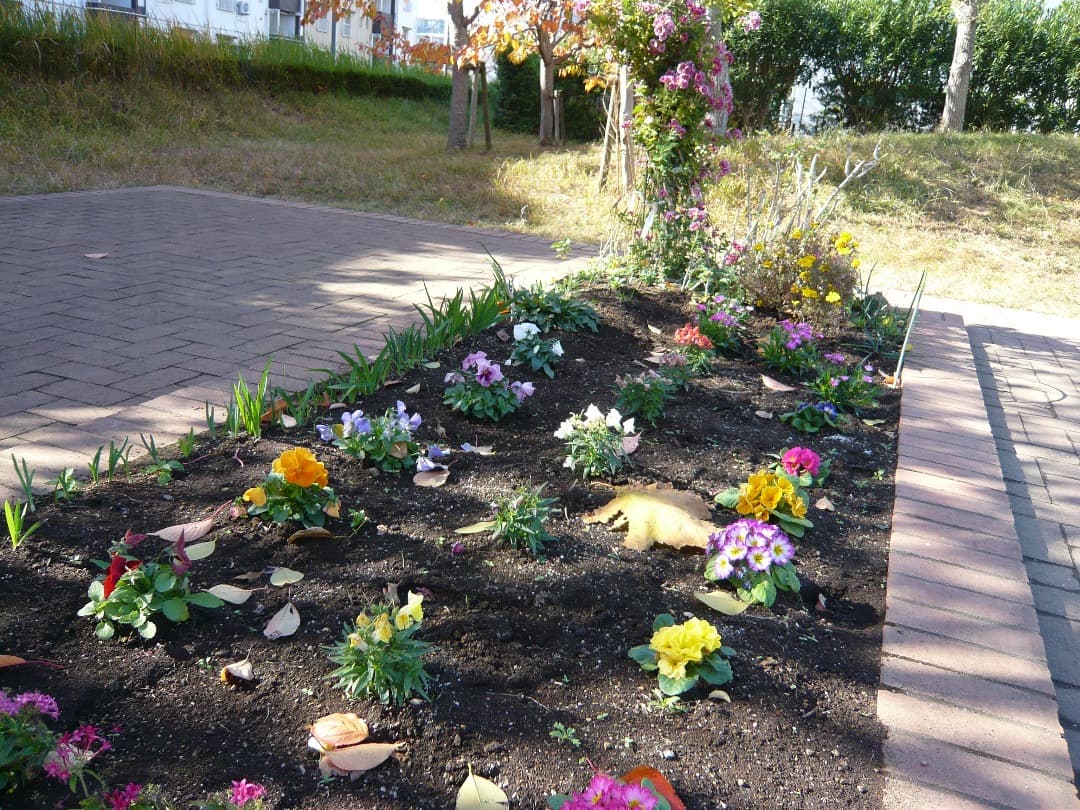 実写美⭕️良品【動作確認済み】Panasonic LUMIX DMC-FX30