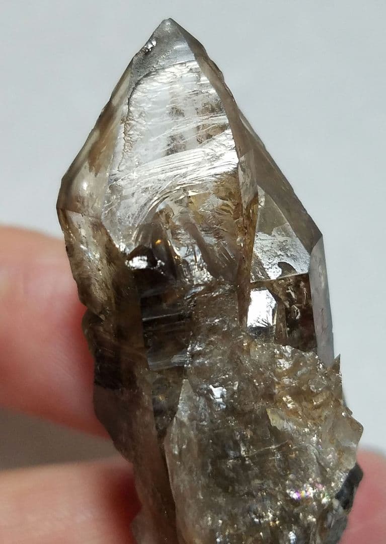 チェラビンスク産エレスチャルスモーキーNo1031