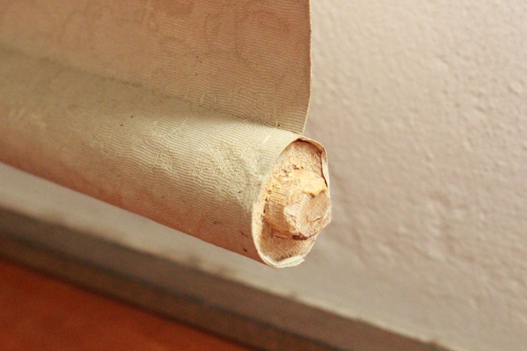 No5183掛軸　晴香　牡丹に雀　絹本　日本画　縁起物　花鳥図　古美術　送料無料