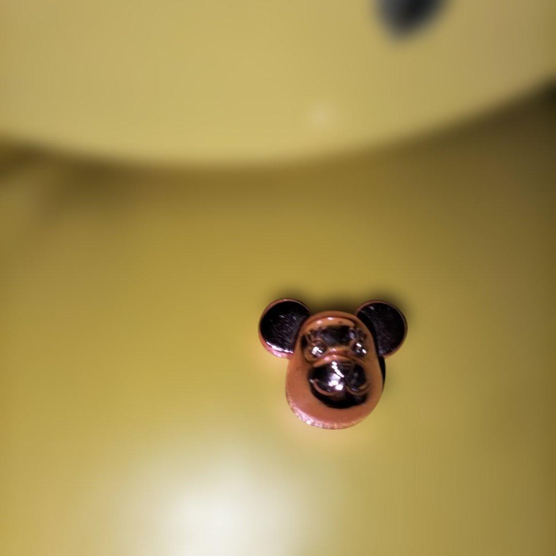 本日限定ポッキリ価格 Fernandes ぞうさんセット