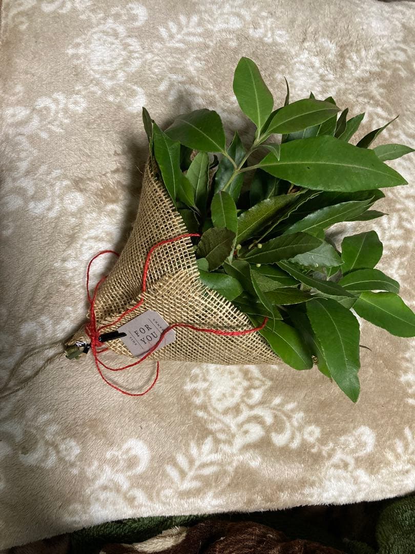 ブルーダニューブ　ロイヤルプレート　アフタヌーンティースタンド2段付