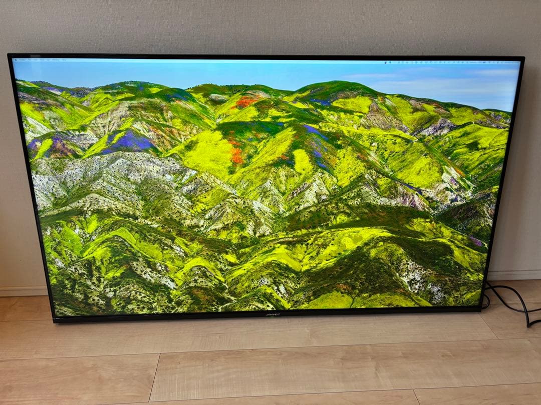 JAPANNEXT 55インチ4Kモニター 美品 JN-IPS5503TUHDR