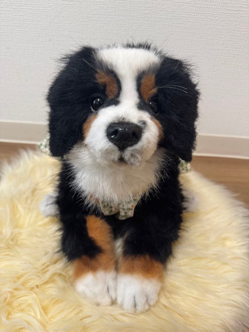 海外作家様作　アートドール　バーニーズマウンテンの子供