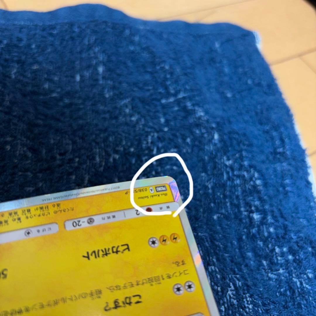 ポンチョを着たピカチュウ　ロコン: プロモ[SM-P 038]