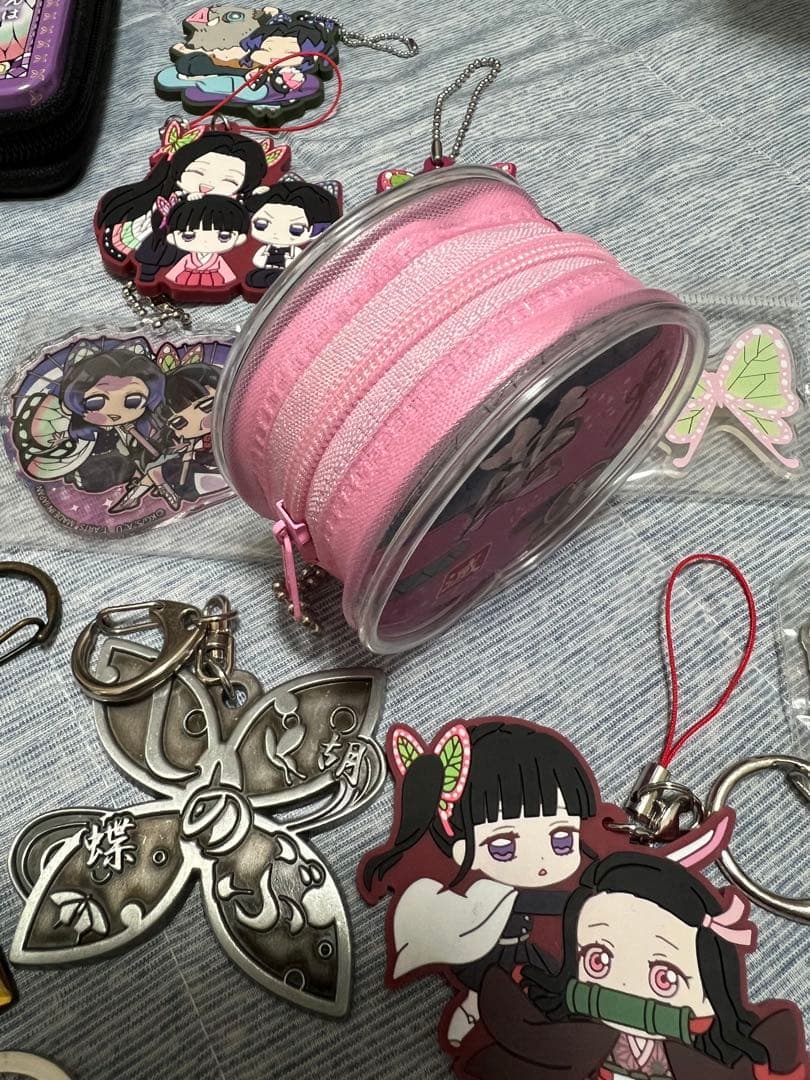 鬼滅の刃　胡蝶しのぶ＆栗花落カナヲ　キャラクターグッズセット