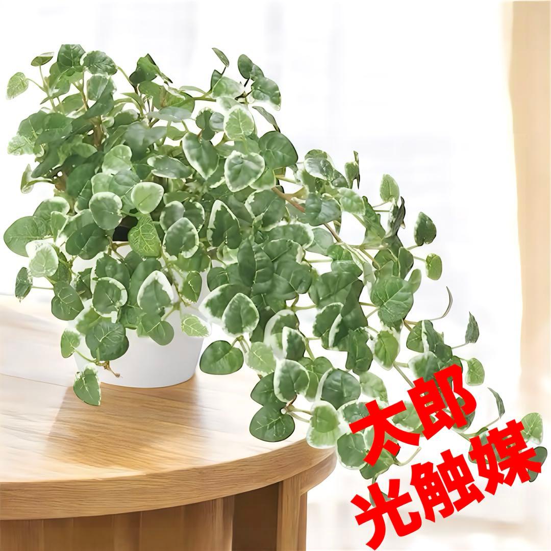 光触媒　人工観葉植物　ウォールグリーン　フェイクグリーン　プミラ