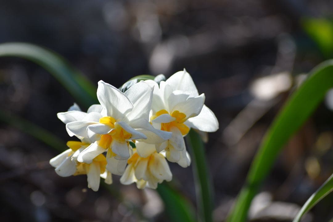 『動作確認済み』 Nikon D3400 ダブルズームキット