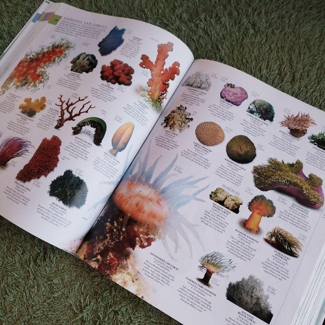 NATURAL HISTORY 図鑑 自然史 書籍