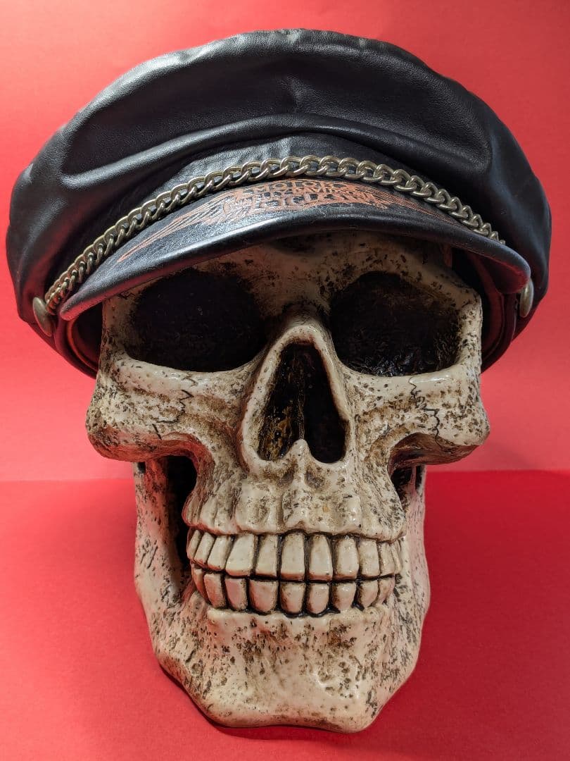 骸骨デザインの樹脂製　貯金箱　約17.5cm