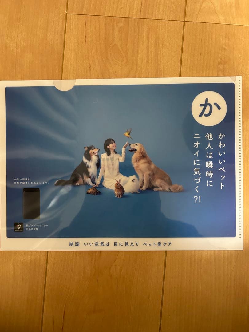 激レア！未使用　浜辺美波　非売品　クリアファイル5枚セット