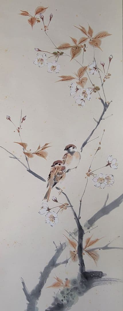 イワサキコーチ　桜花小禽　花鳥画　作家銘あり　掛け軸　共箱