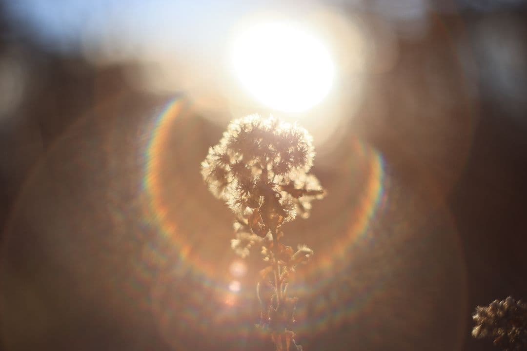 Super-Takumar 55mm F1.8 前期型 S/N：1138358