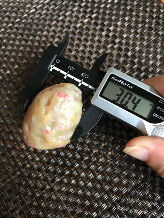 ゴビ石−297 ゴビ瑪瑙　花眼　ピンクの「眼」