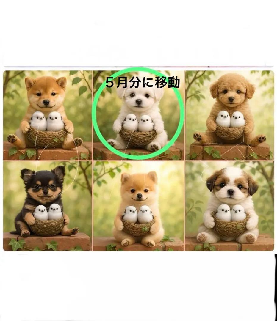 布バスケット