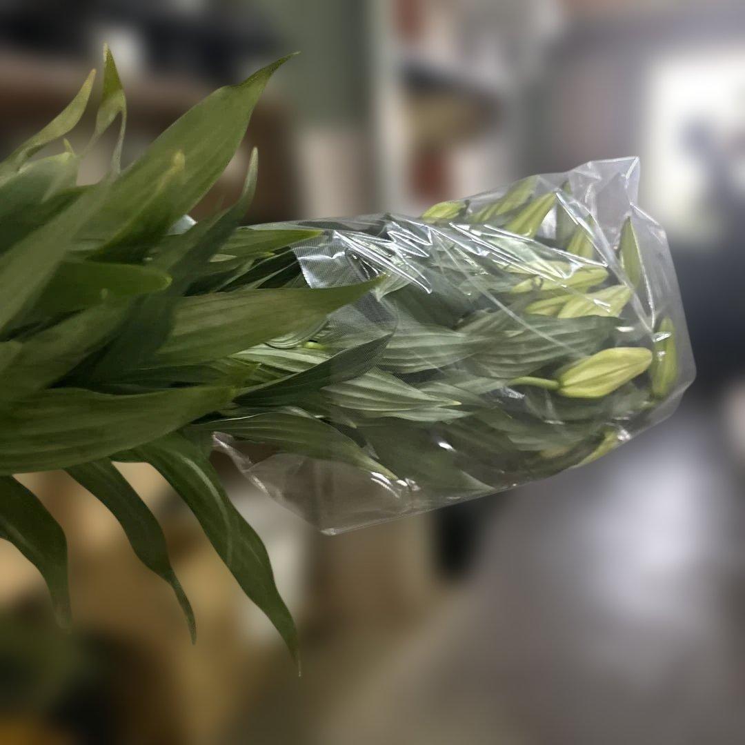 ①白百合4〜5輪咲き10本セット 品種名カサブランカ