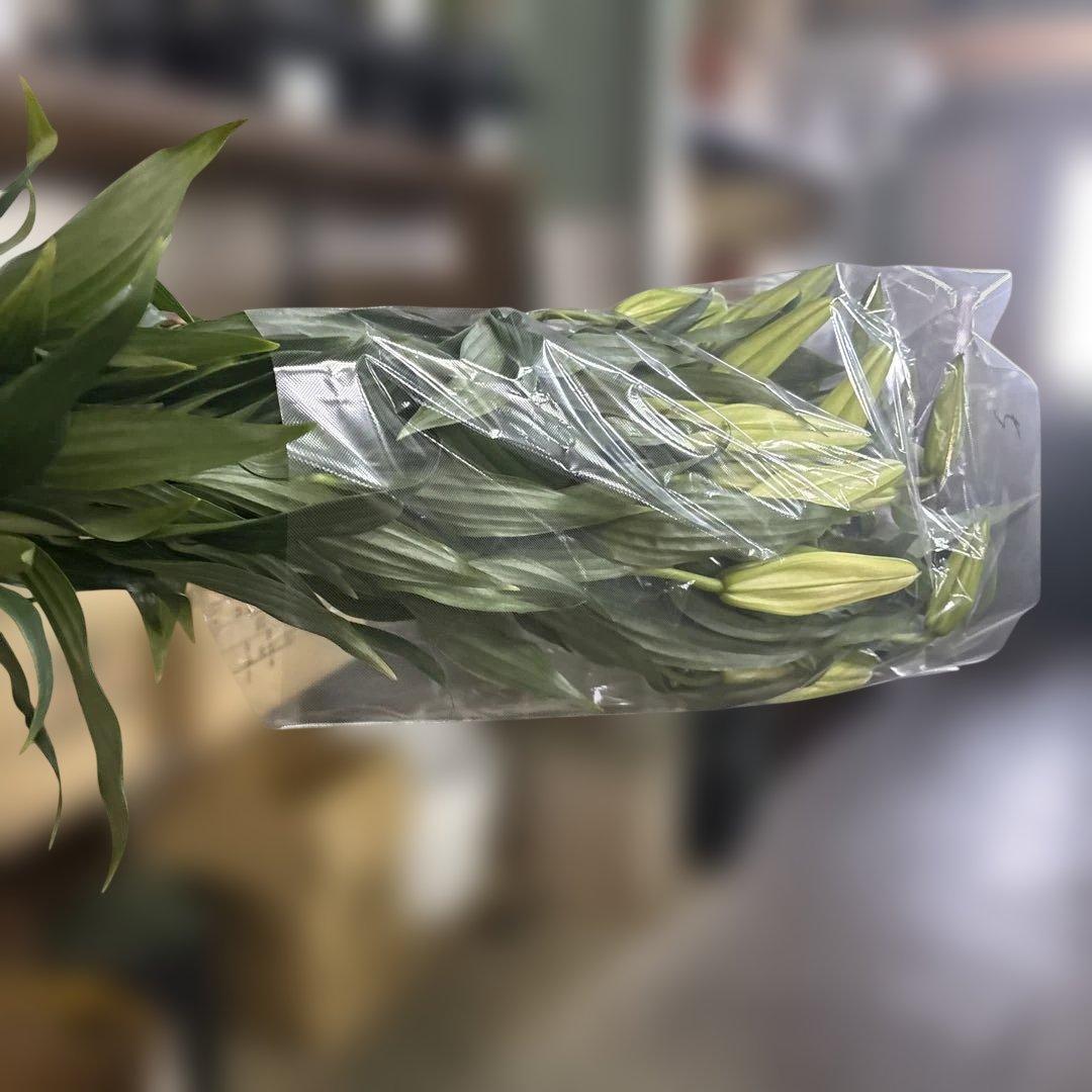 ①白百合4〜5輪咲き10本セット 品種名カサブランカ