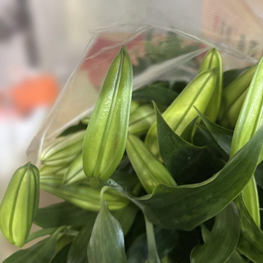 ①白百合4〜5輪咲き10本セット 品種名カサブランカ