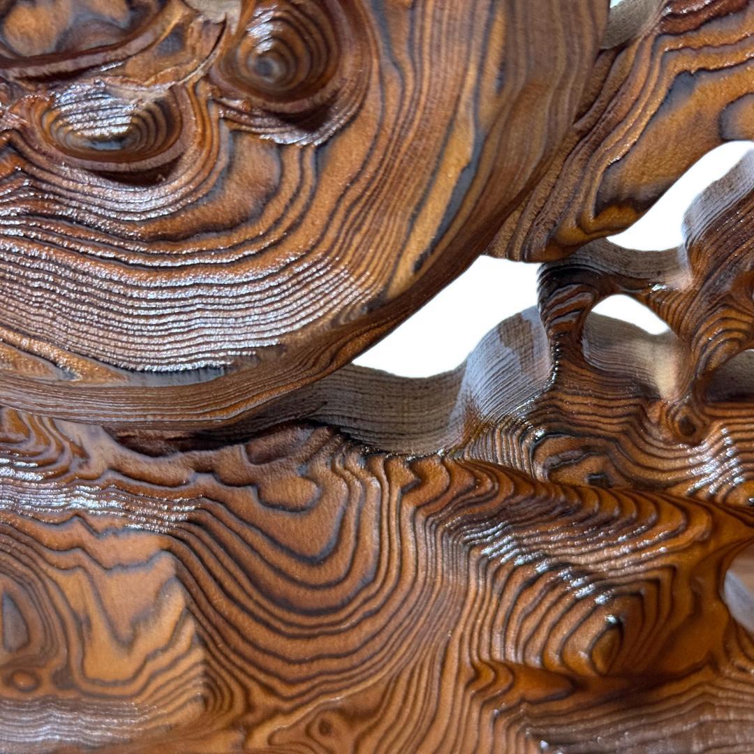 希少品✨ 龍光【種光作】《屋久杉 彫刻 木彫り 貴重品 骨董品 古美術 美品》