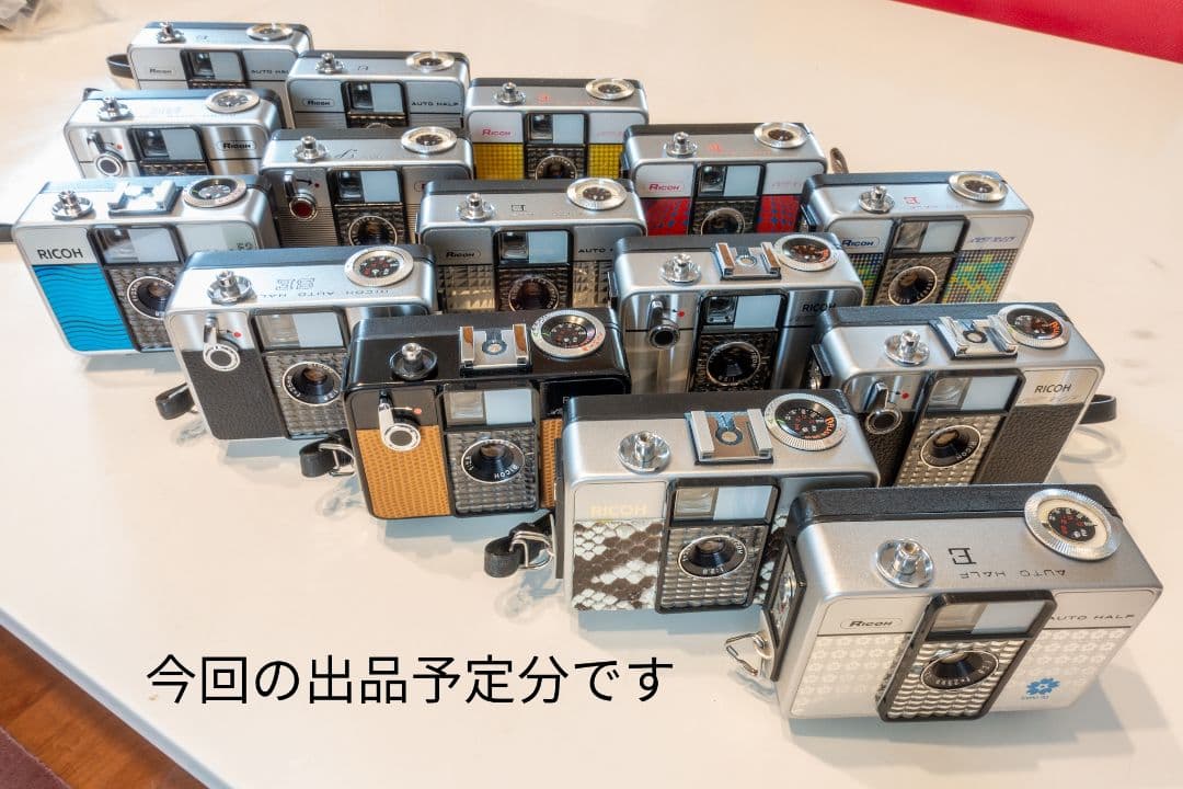 ⑪【美品・整備済品】RICOH AUTO HALF E 「レッドフラワー」