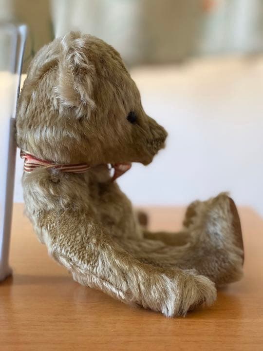 テディベア　NORBEARY BEARS