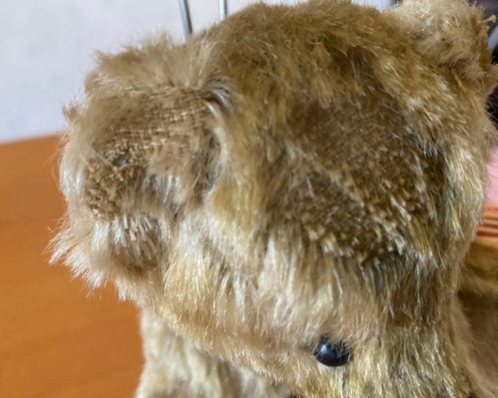 テディベア　NORBEARY BEARS