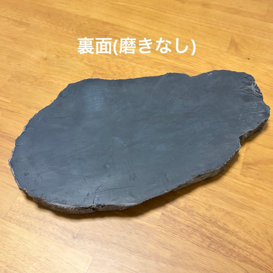 珪化木　木化石　ペトリファイドウッド
