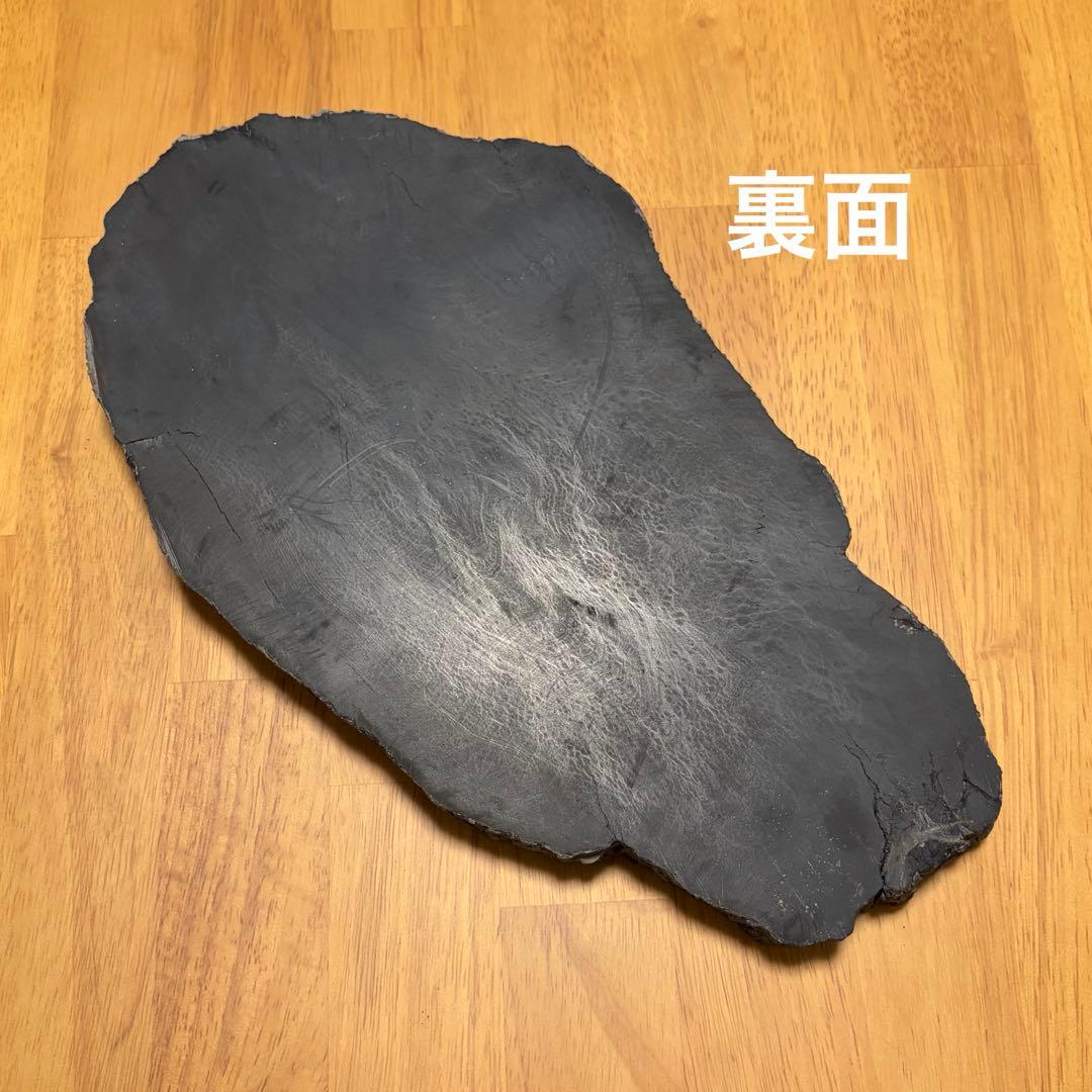珪化木　木化石　ペトリファイドウッド