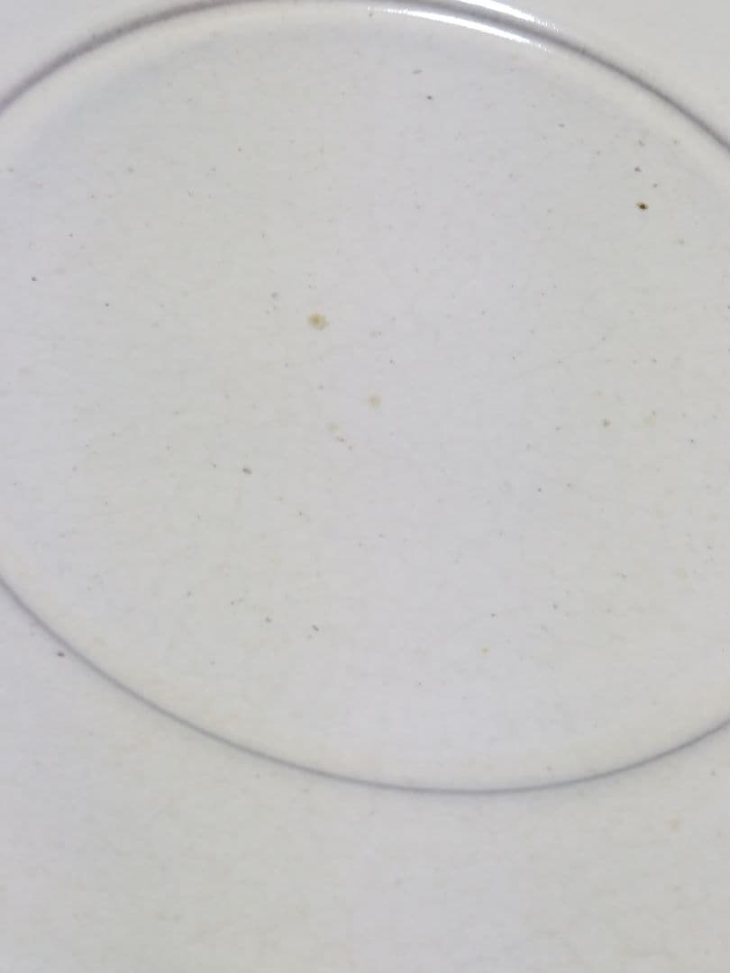 郡司庸久　郡司製陶所　リム皿　27cm　白　益子焼　作家もの