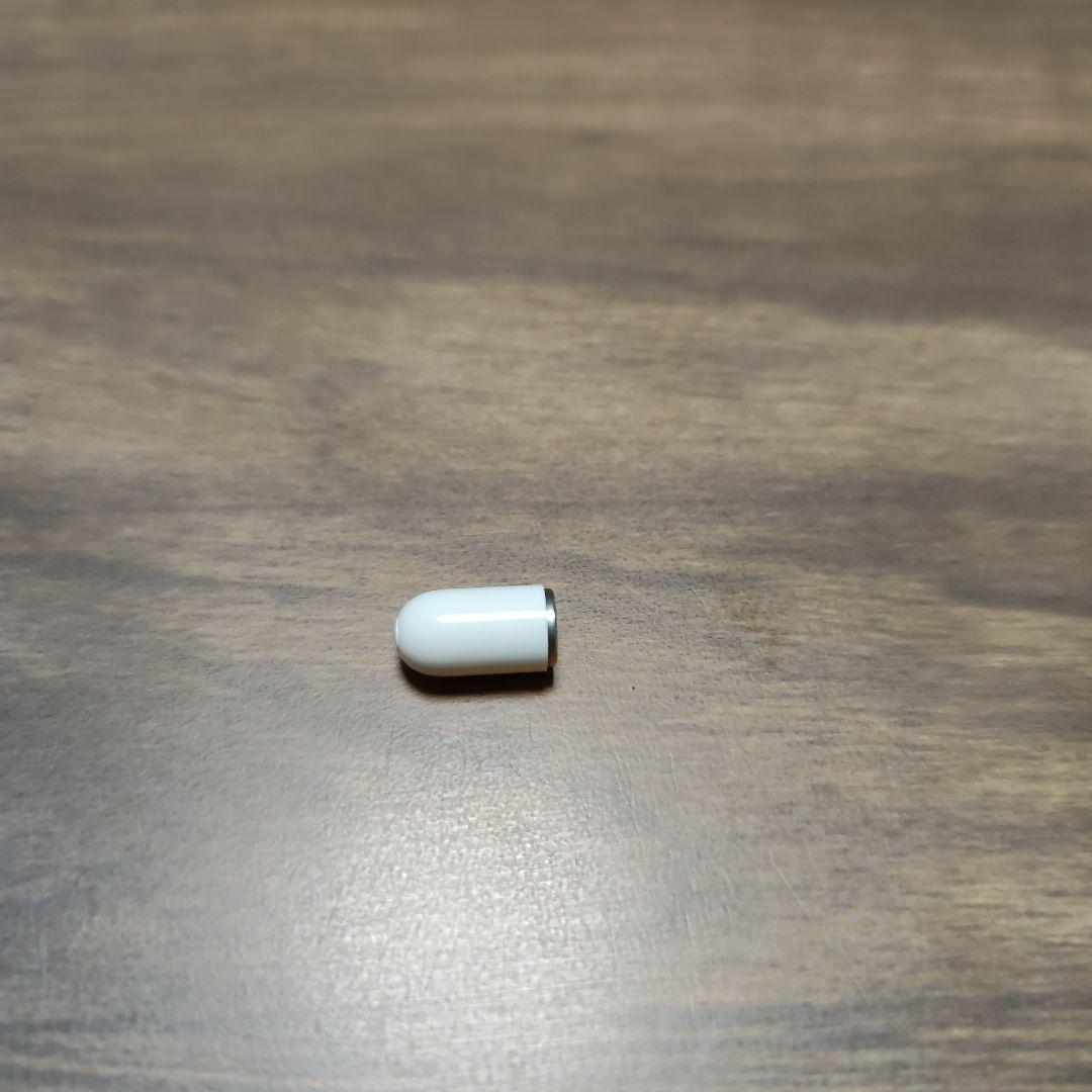 Apple Pencil 第1世代 typeC&Lightning コネクタ付属