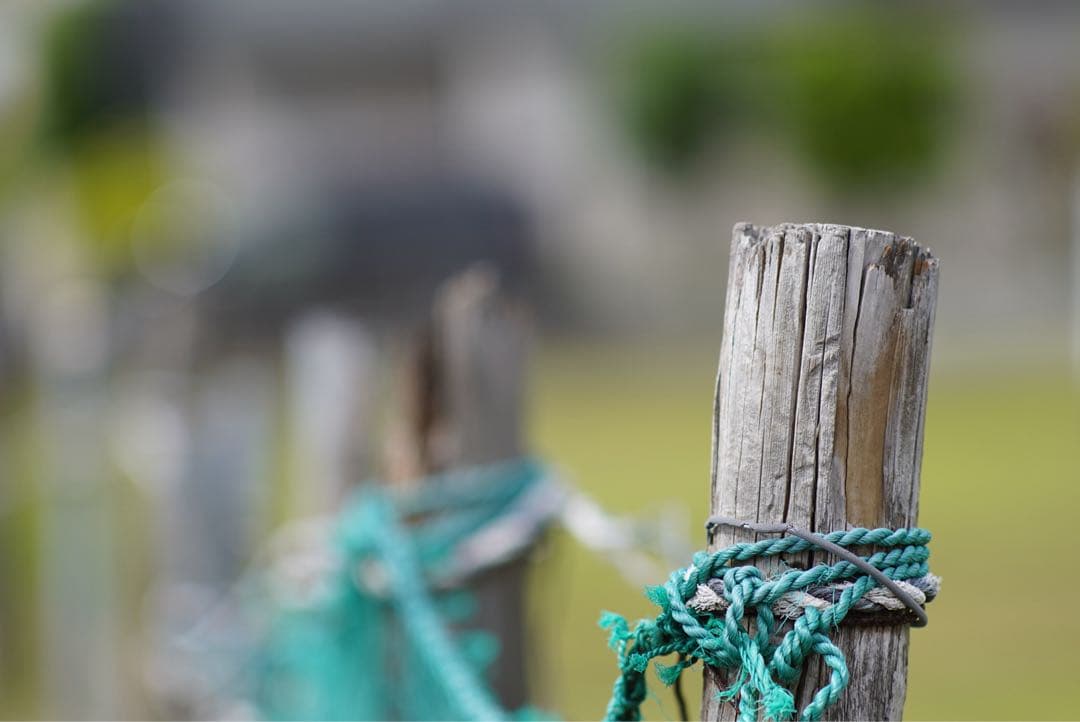 レンズ(単焦点) Nikkor-PC Auto 105mmF2.5