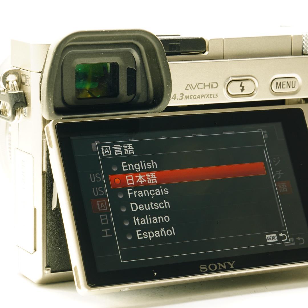 SONY 真・α6000 ダブルズームレンズキット シルバー バッテリー2個