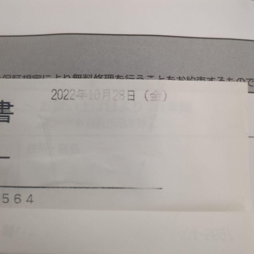 アイリスオーヤマ リンサークリーナー 説明書付　RNS-300