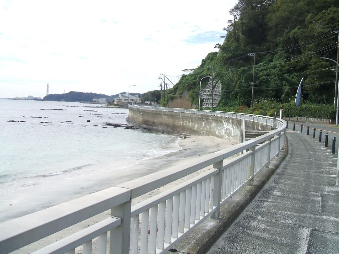 実写美⭕️乾電池式【動作確認済】 FUJIFILM FinePix A500