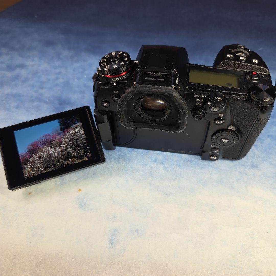 Panasonic LUMIX G9 PRO 本体