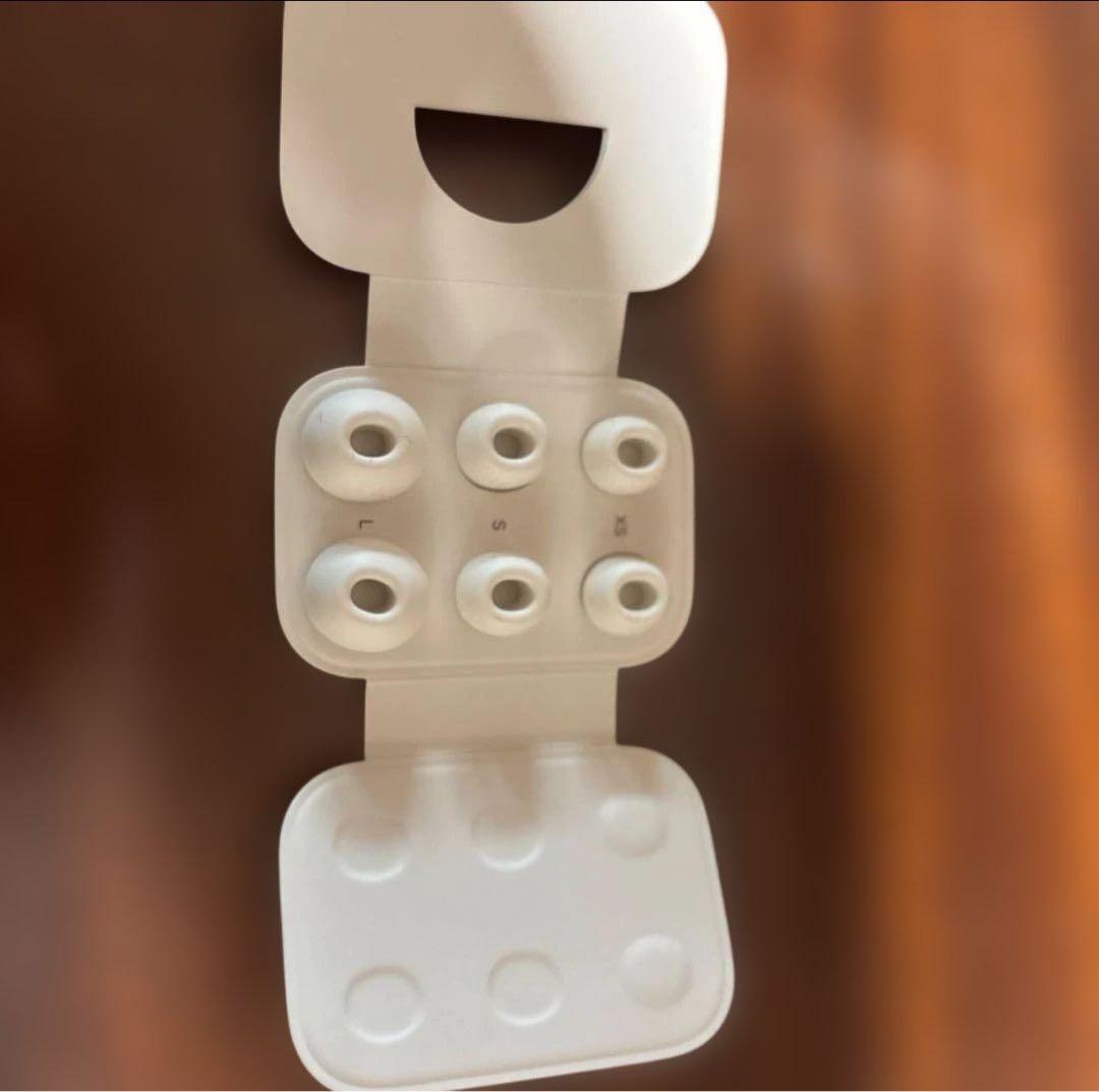 AirPods Pro 第2世代 本体（Lightning）