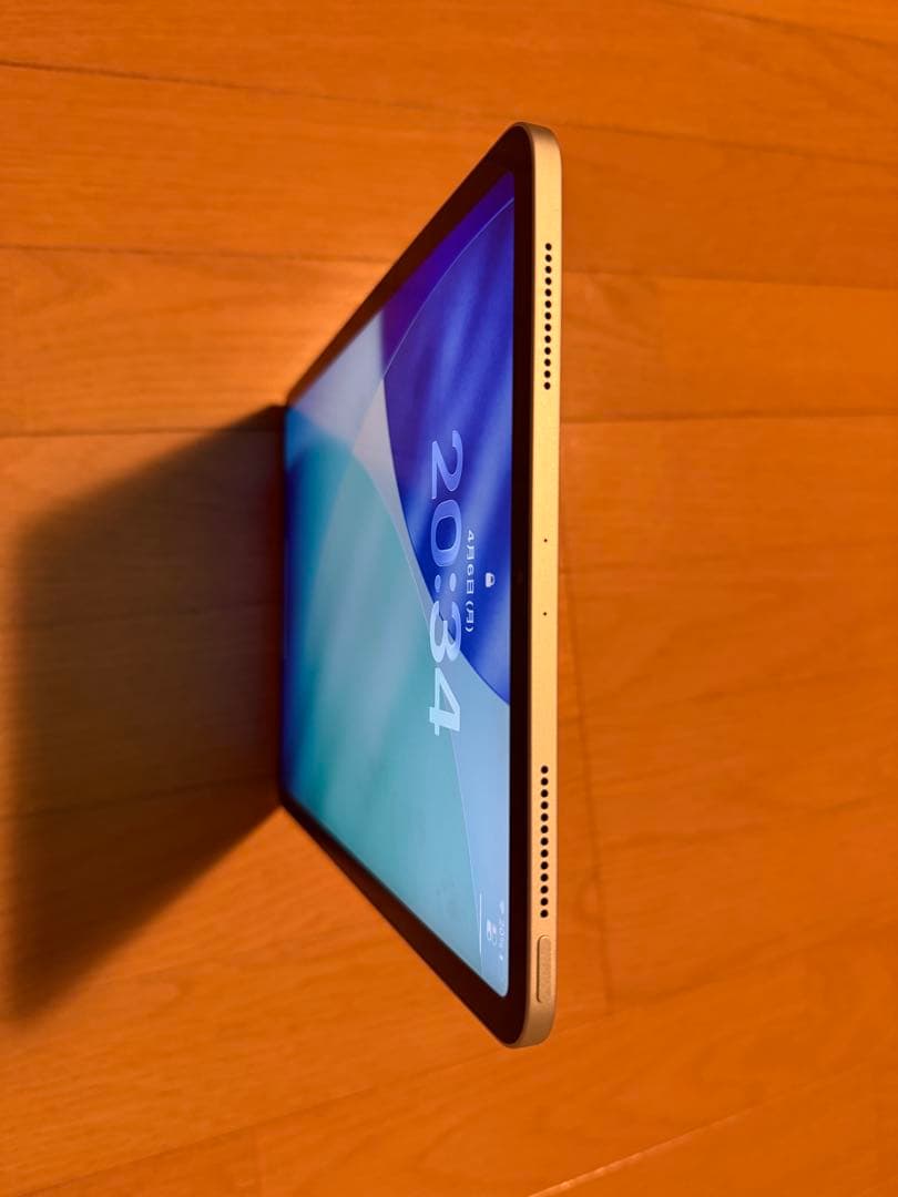 iPad Pro (11インチ) 第2世代 256GB