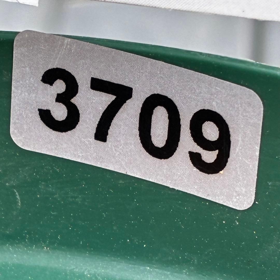 709☘️タグ付☘️超極上☘️2026年NO1☘️パステリッシュストレイン⭐️小輪コロコロ