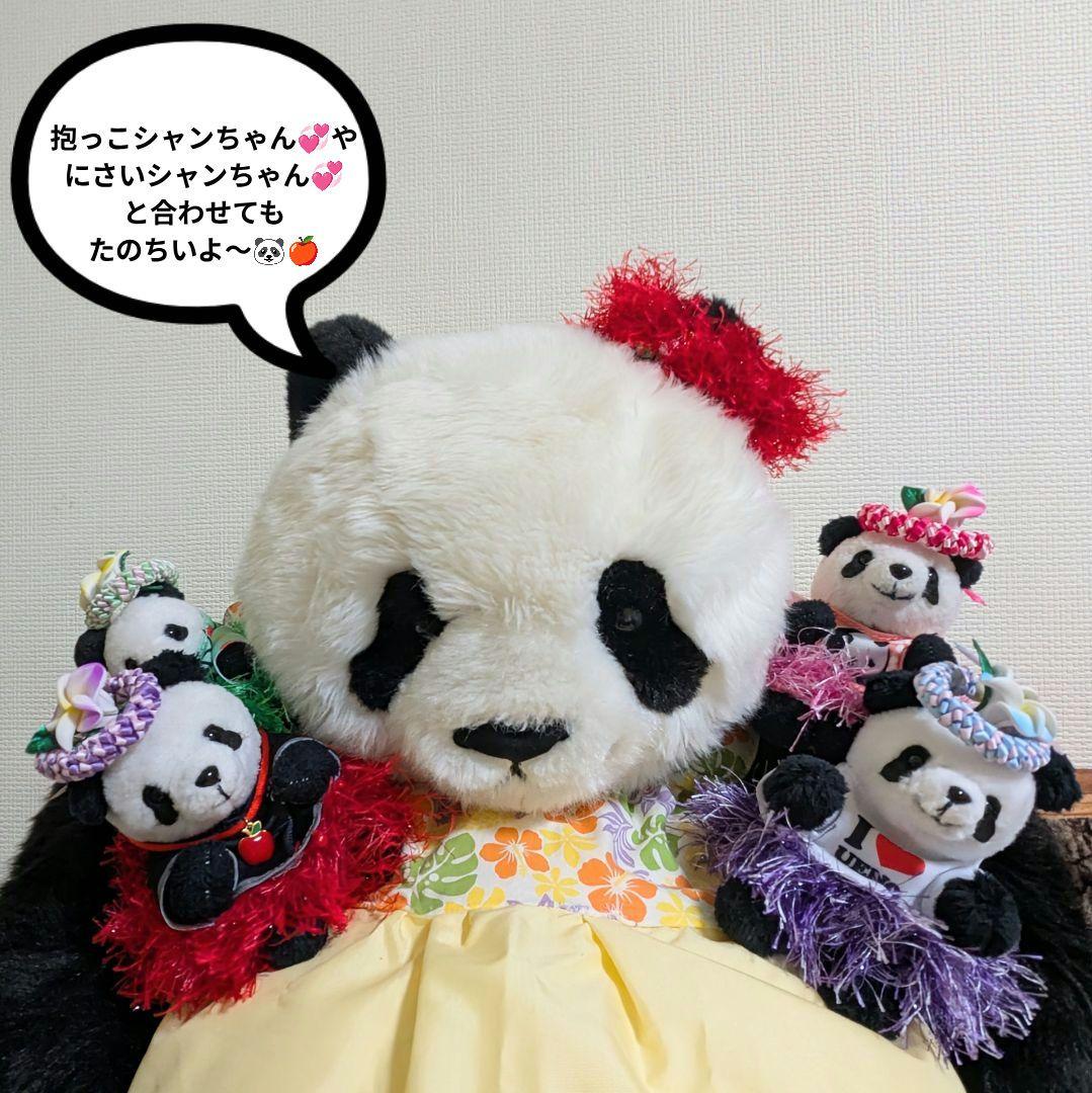 シャンシャン様♡の♡おでシャンちゃん♡オーダー☆おでシャンClubコスチューム