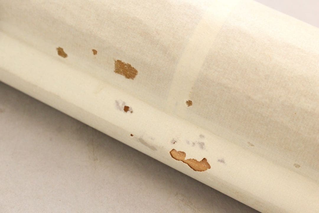 No5890 掛軸　在銘　沈南蘋(沈銓)　松、鶴図　絹本　紙箱　日本画　送料無料