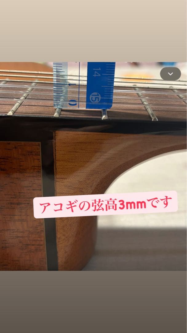 Aria A-35CE アコースティックギター
