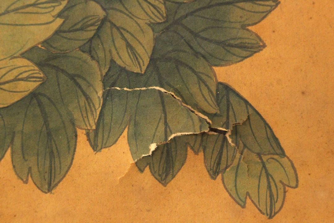 No5258 掛軸　「牡丹小禽図」　紙本着色　南画　日本画　古美術　送料無料