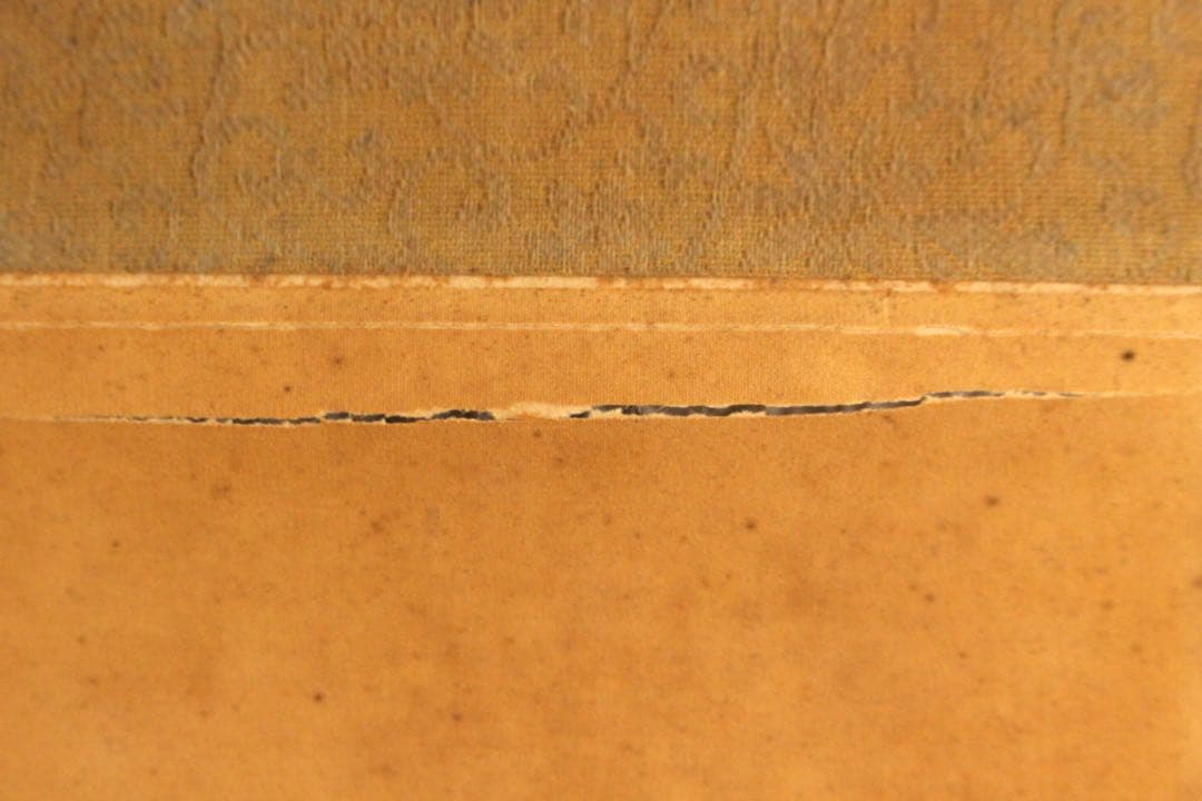 No5258 掛軸　「牡丹小禽図」　紙本着色　南画　日本画　古美術　送料無料