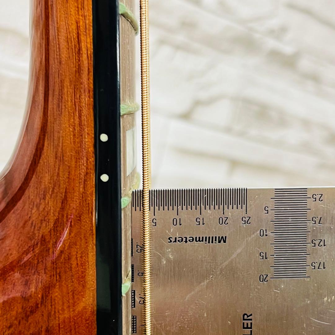 Karis カリス 韓国 SUJIN MUSIC エレアコ