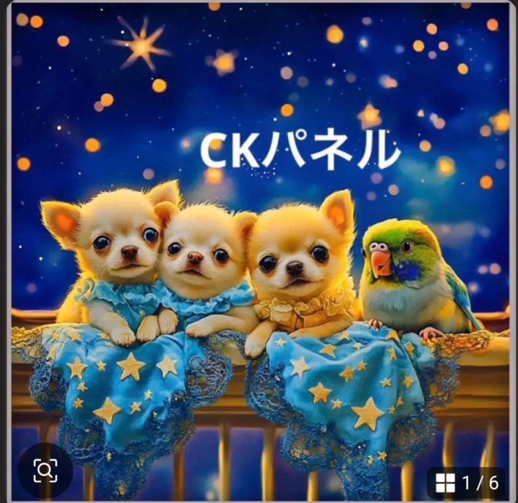 y꙳★＊°様ご確認用