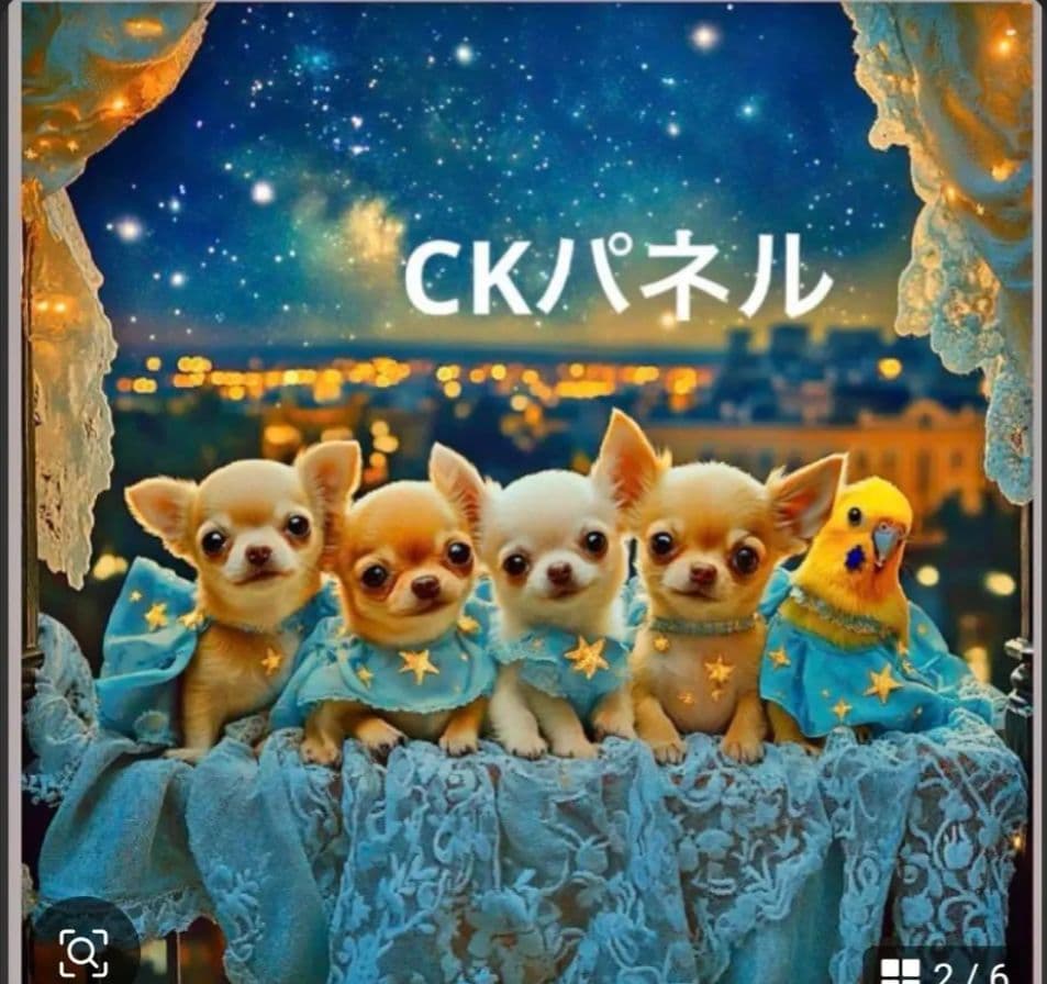 y꙳★＊°様ご確認用
