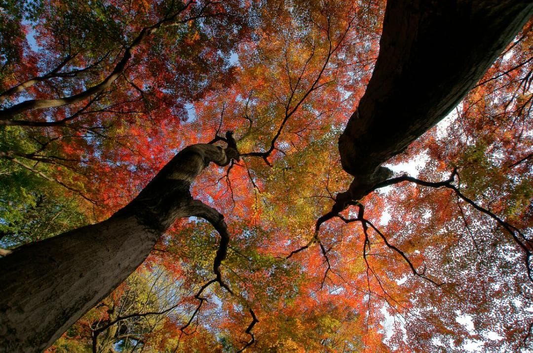 ■広角 ソニー用　TAMRON 11-18mm F4.5-5.6 Di II